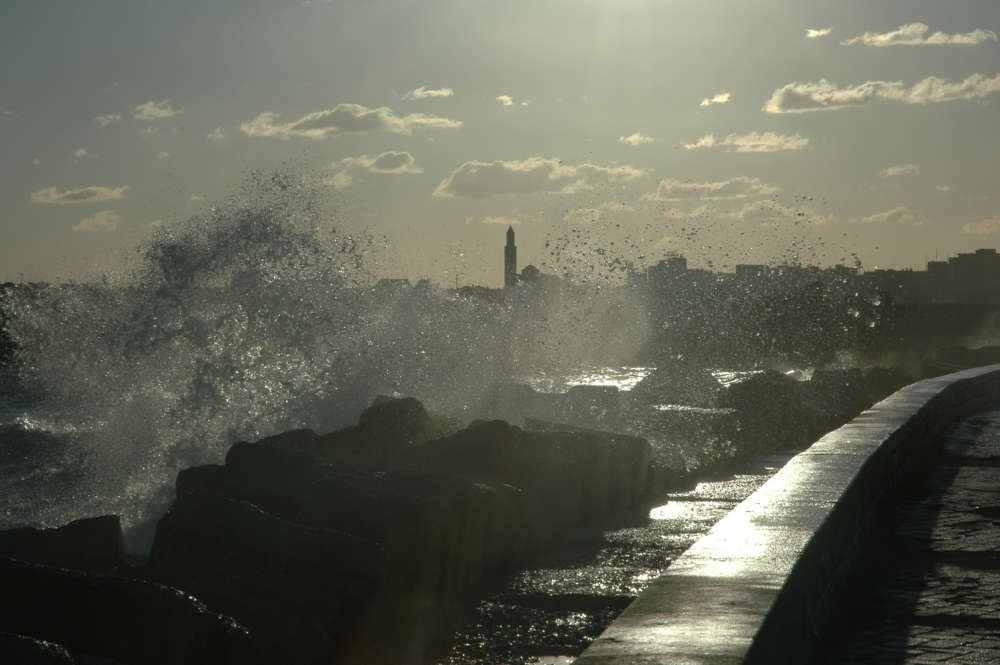 Ciao Bari!2